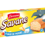 BROSSARD A BASE DE YAOURT SAVANE BISCUIT 210G